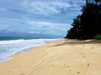 อุทยานแห่งชาติหาดลำปี-ท้ายเหมือง