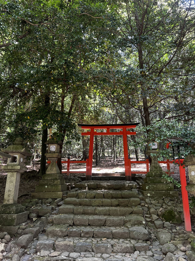 「鹿に会いに行くだけじゃ、もったいない🇯🇵✈️🌏
