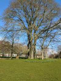 Hove Park