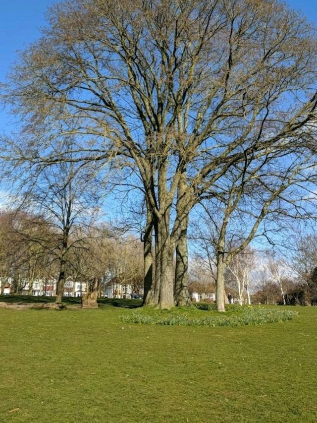 Hove Park