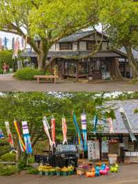 Nokonoshima Island Park สวรรค์คนรักดอกไม้ฟุกุโอกะ