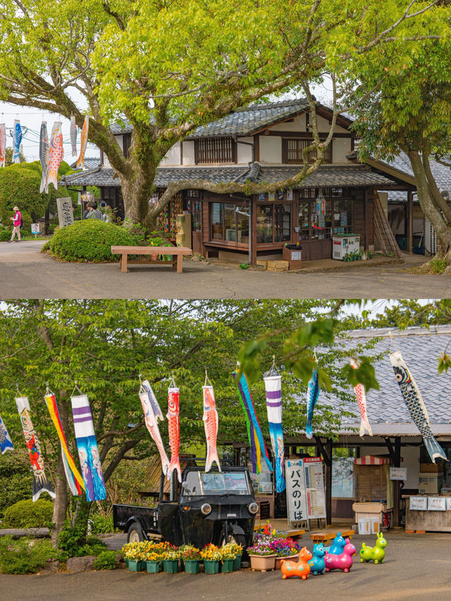 Nokonoshima Island Park สวรรค์คนรักดอกไม้ฟุกุโอกะ