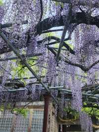 【山口グルメ】道の駅おふく・西八幡宮