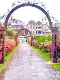 Sapa in Bloom: A Journey Through season