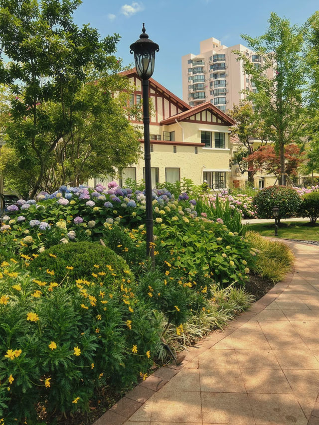 💐 City Center Hydrangea Garden Walk 