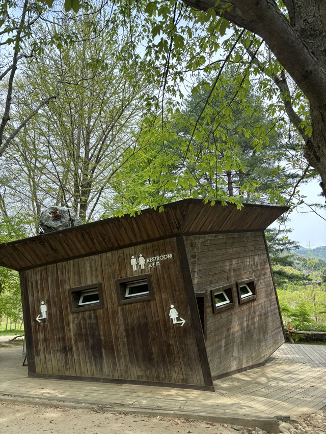 Going to Nami Island by Public Transport 😍