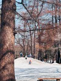 MARUYAMA PARK