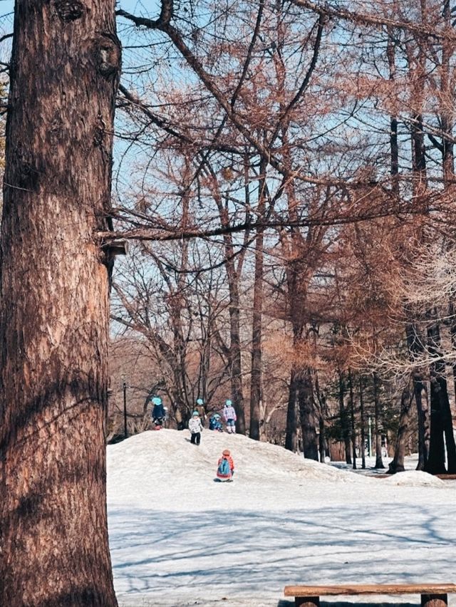 MARUYAMA PARK