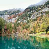 Blausee: Switzerland’s Hidden Blue Jewel in an Emerald Forest