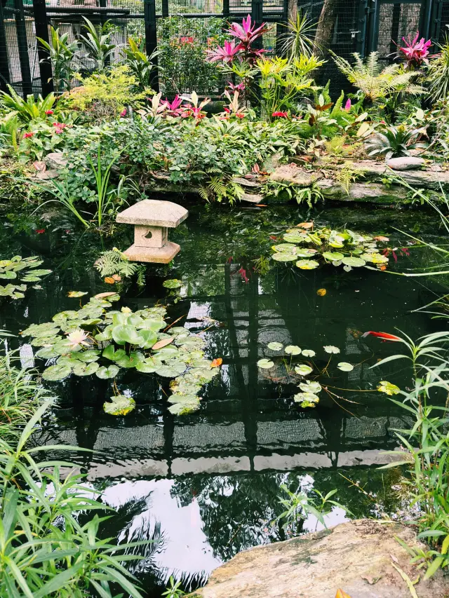 香港動植物公園｜深度遊的都市綠肺與歷史縮影