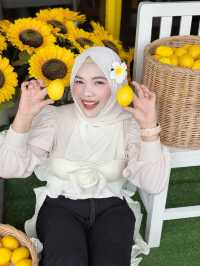 Time cafe & restaurant - ทุ่งสง นครศรีธรรมราช