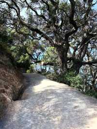 Tauranga – Where Coastal Charm Meets Adventure