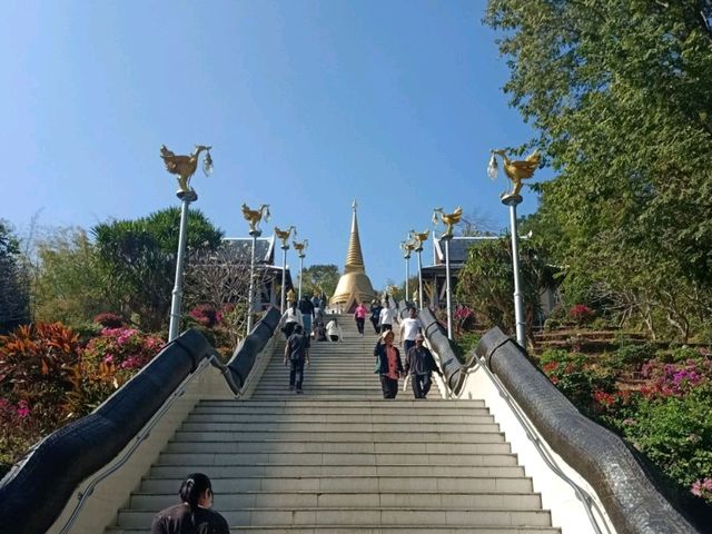 ไหว้พระนอน ที่สัดป่าภูก้อน อุดรธานี