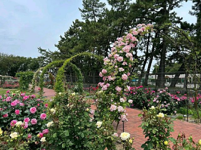 Hamadera Park – Osaka’s Historic Green Escape