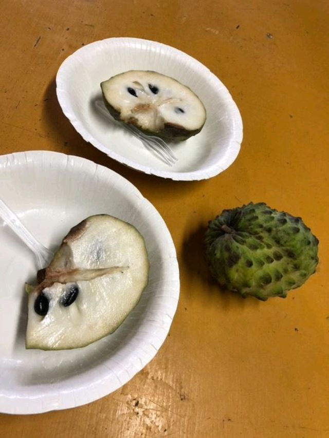 与論島の甘〜いマンゴーに感動！