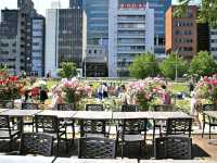 Nakanoshima Park – A Serene Oasis in the Heart of Osaka