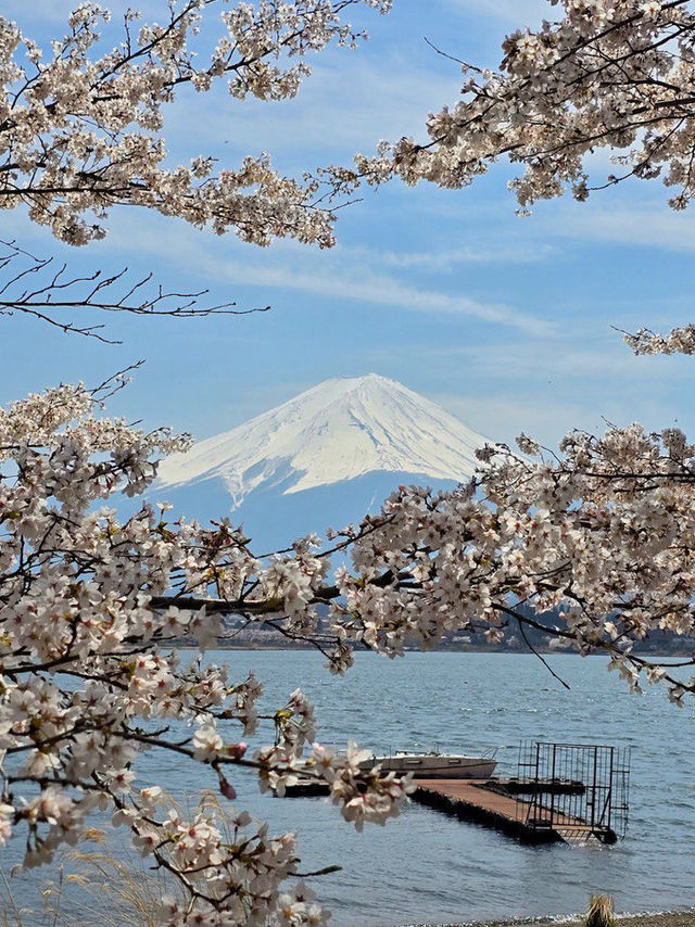 From Kawaguchi to Atami via Shizuoka