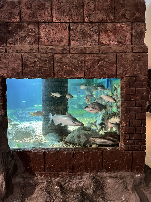 ไปดูปลากันที่ พิพิธภัณฑ์สัตว์น้ำจังหวัดหนองคาย 🐠