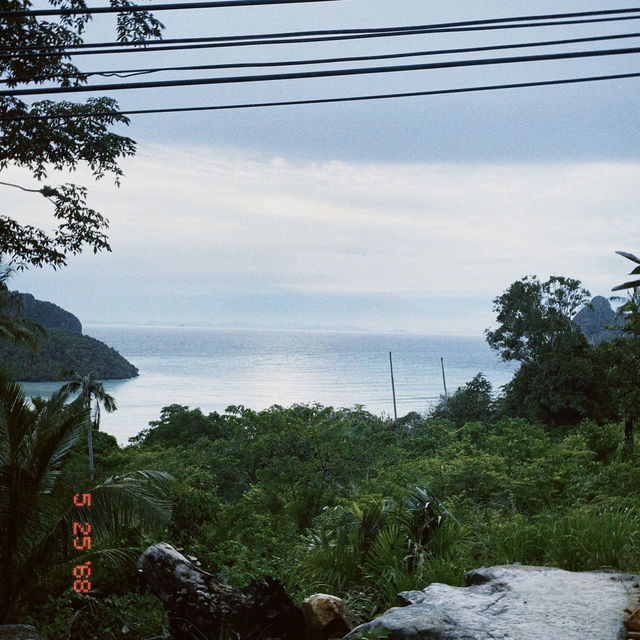เกาะพีพี 