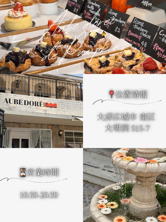 【地元民人気】大邱で行きたいカフェ　2選☕️🍰