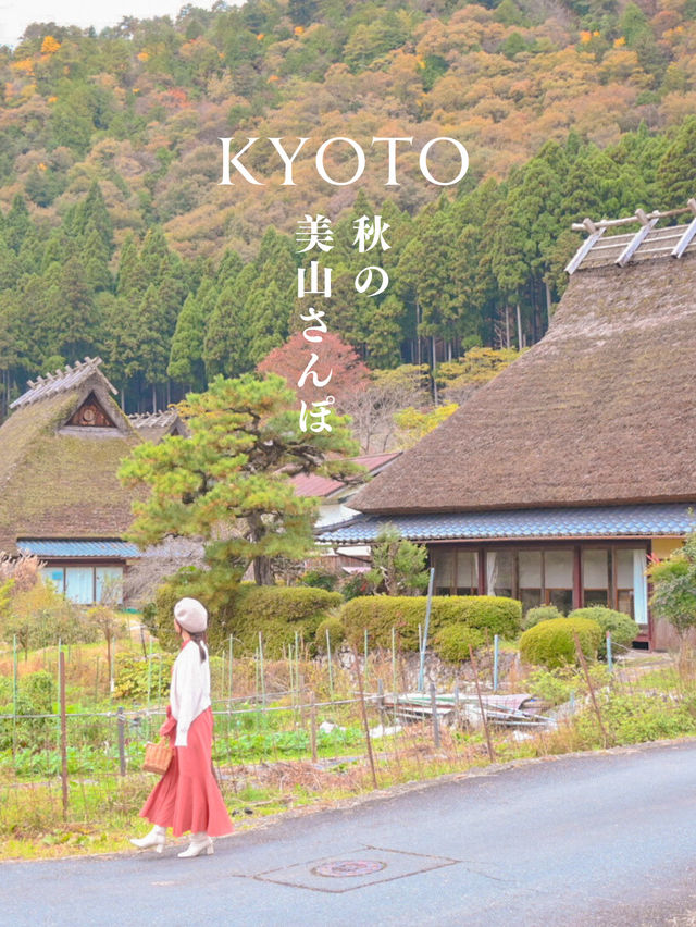 秋の美山さんぽ 🐿🌰🍊🍐🍇 📷🍂🍁