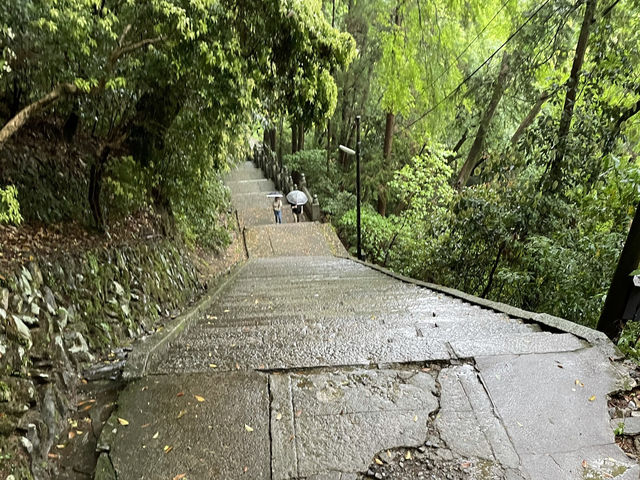 人生で1度は行きたい！1368段の階段の先に広がるパワースポット⛩🌿