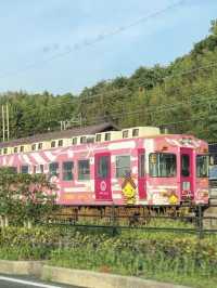 A Day with Trains & Tradition in Izumo