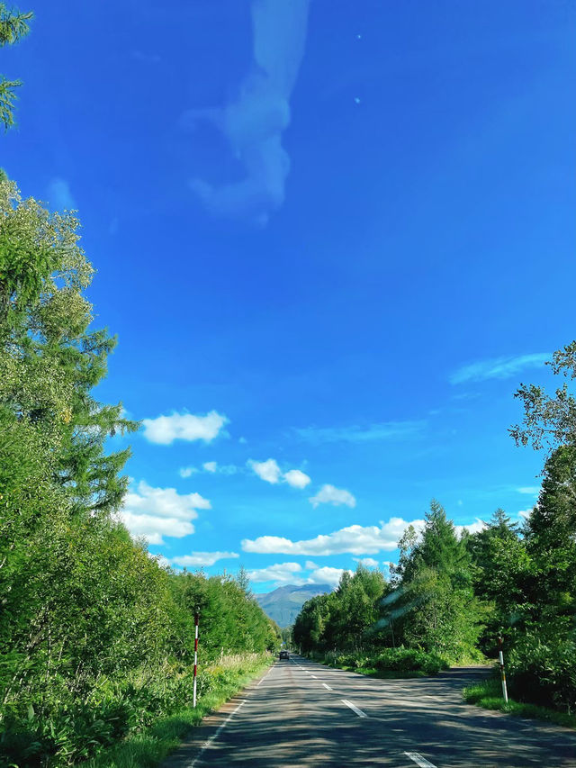 無加工なんです⚠️美しいサファイアブルーの池が見られる絶景スポット🫣💙🦋🌧