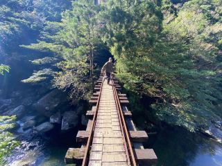 屋久島，能量景點！