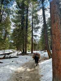 🏔️Fairy Meadows – Not Just a Name, But a Feeling