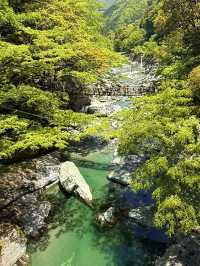 德島｜心跳加速產生戀愛錯覺的橋？ 日本三大奇橋祖谷藤蔓橋