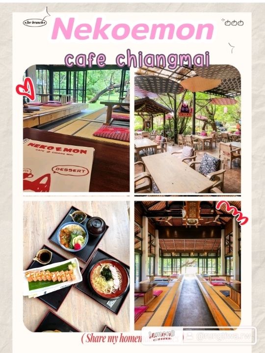 Nekoemon Cafe Chiangmai