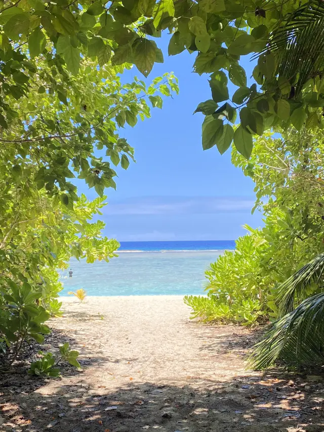 GUAM 