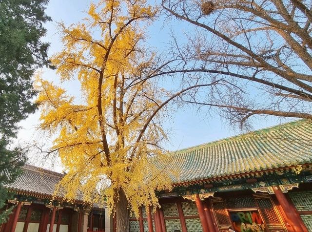 Step Inside: Prince Gong's Palace of Power & Intrigue!