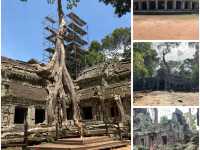 Temple Run 🇰🇭