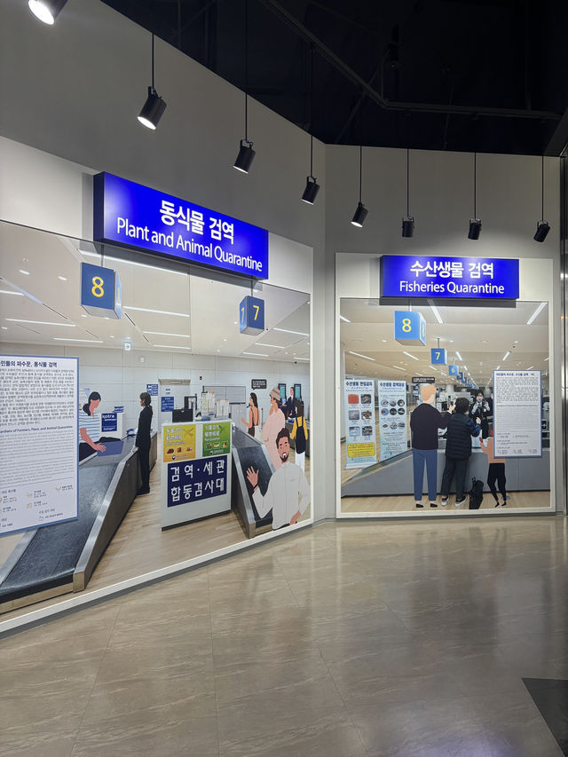 비행기 전시를 바로 눈앞에서 볼 수 있는 박물관💛