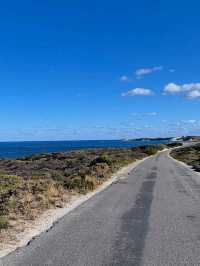 🏝️ Rottnest Island – Perth’s Tropical Paradise Just a Ferry Away! 🐾🌊☀️