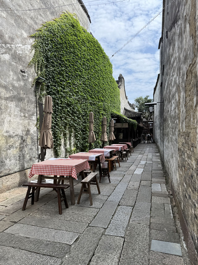Wuzhen - Tây Sách