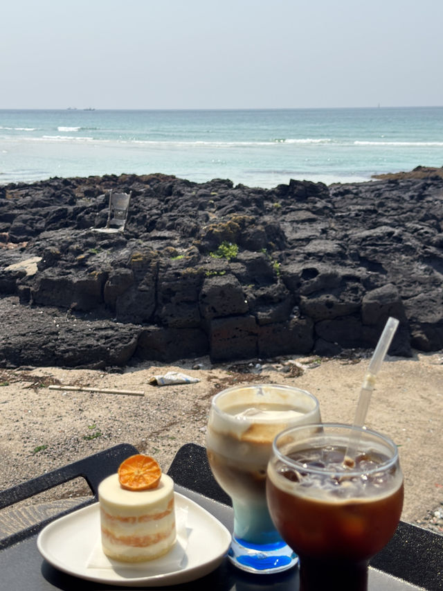 🍊 찬란한 감귤빛 하루, 제주도 여행기 