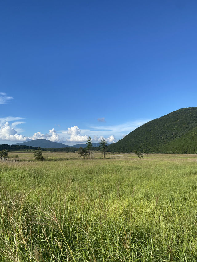 🌋 阿蘇 – 大地の息吹を感じる熊本の絶景スポット