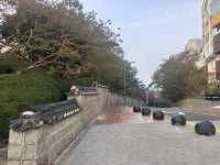 The morning of Busan