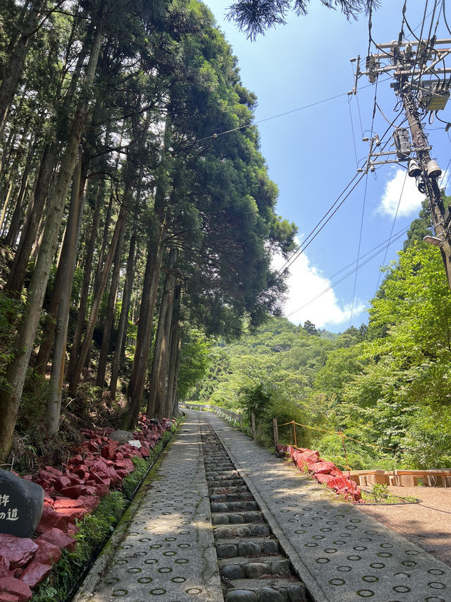 Isehara with the 💕🧸🐻