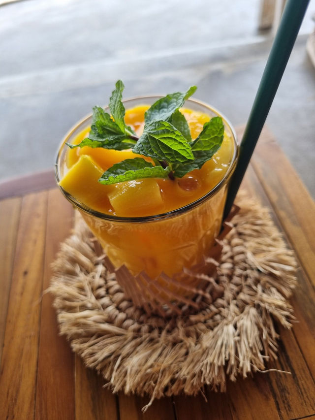 강원도🏝️고성 오션뷰 카페 🏝️노메드