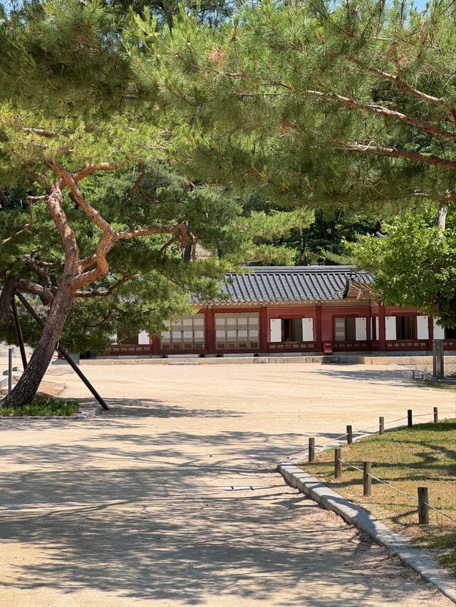정갈하고 고즈넉한 이곳