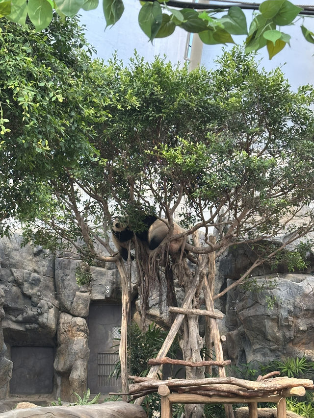 香港不再是只有迪士尼的唯一選擇