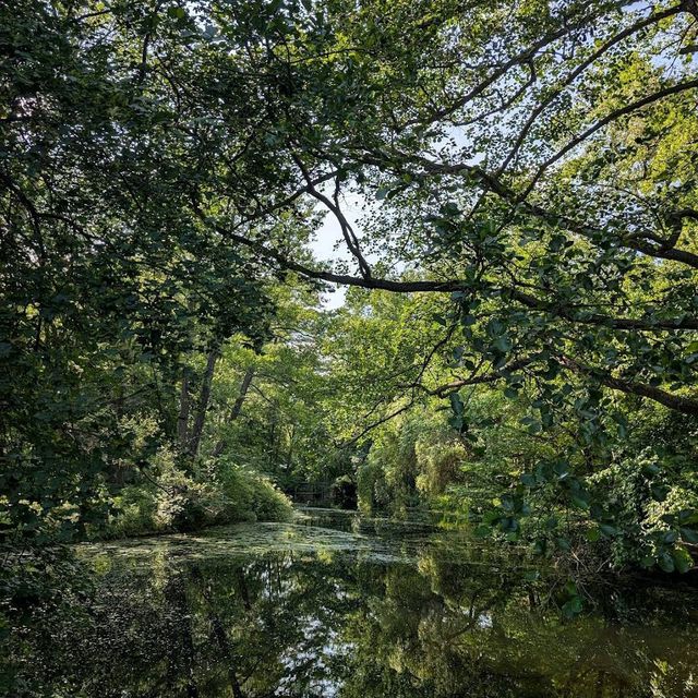 Tiergarten – Berlin, Germany