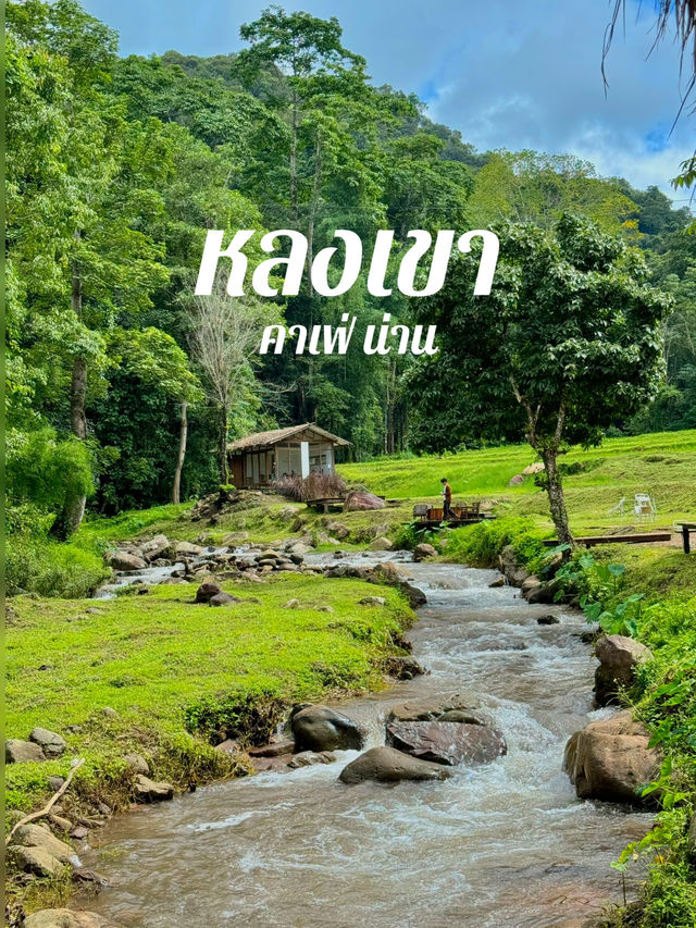 หลงเขาคาเฟ่ น่าน 🏠💦
