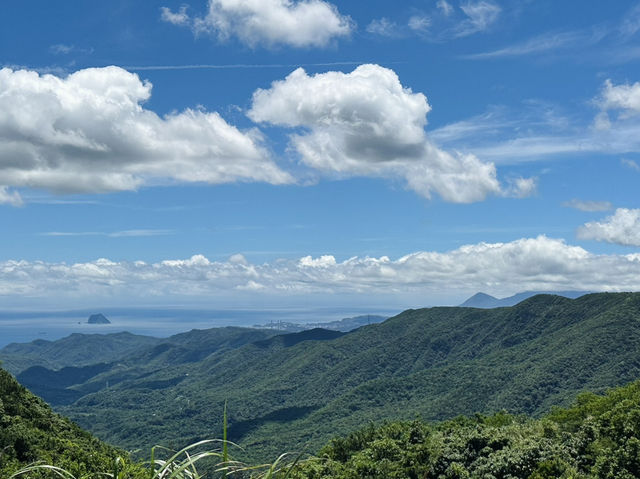 擎天崗天氣晴