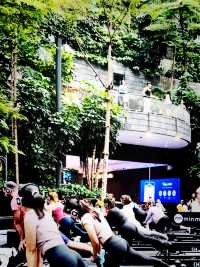 Travel Wonderland at Jewel Changi – A Magical Escape in Transit