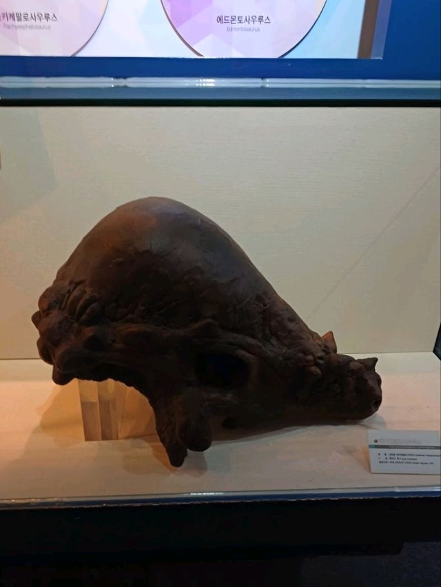 공룡뼈에 가슴이 뛰는 고성공룡박물관